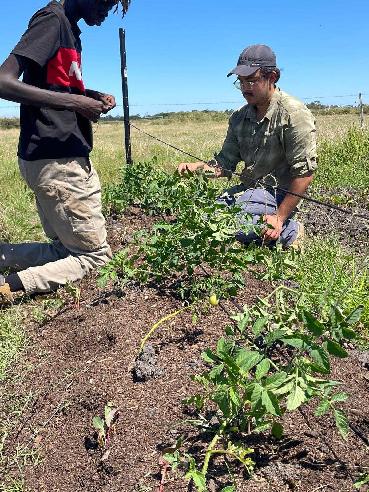 Thomas Martinez traveling with the Watson Foundation